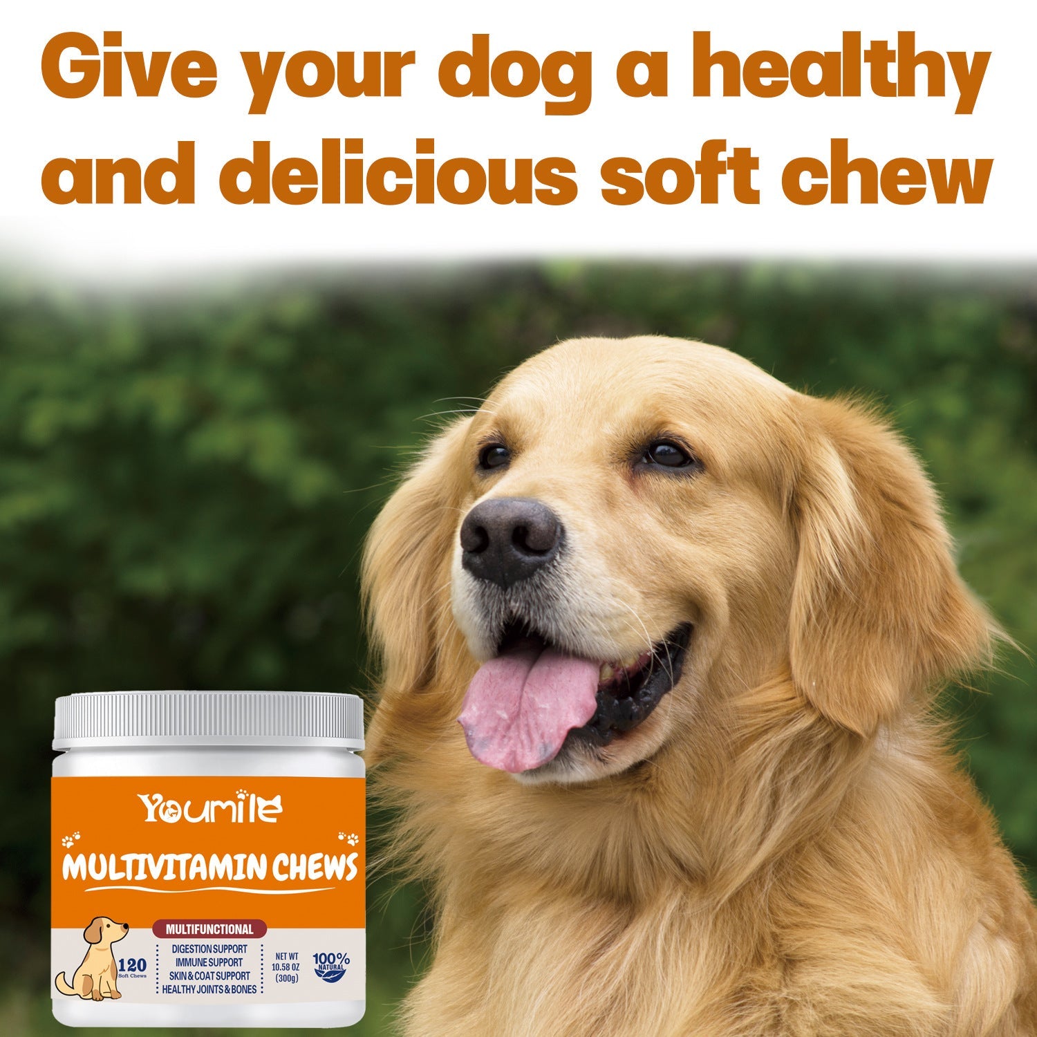 Unlock Your Pet's Full Potential with Our Multifunctional Vitamin Supplement